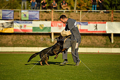 Kliff von der Friesenklippe