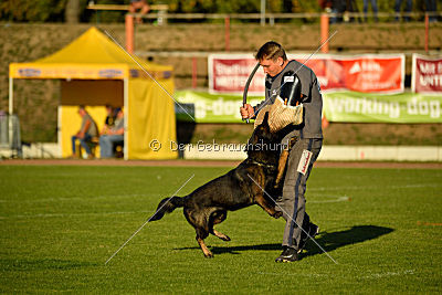 Kliff von der Friesenklippe