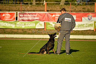 Kliff von der Friesenklippe