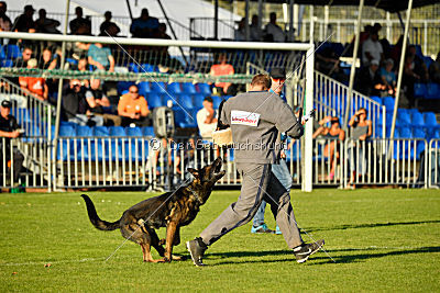 Kliff von der Friesenklippe