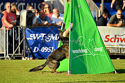 Kliff von der Friesenklippe