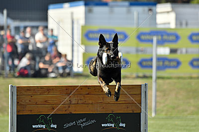 Kliff von der Friesenklippe
