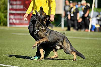 Kliff von der Friesenklippe