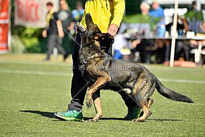 Kliff von der Friesenklippe