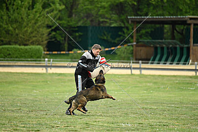 Klyff von der Lobdeburg