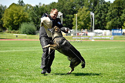 Kody vom Wolfsfriede