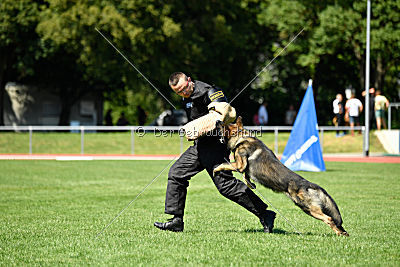 Kody vom Wolfsfriede