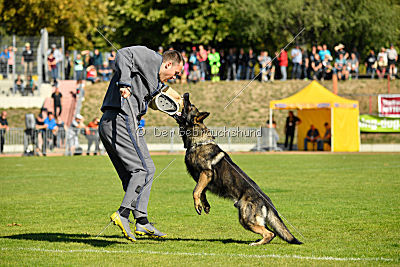 Kody vom Wolfsfriede