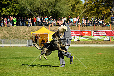 Kody vom Wolfsfriede