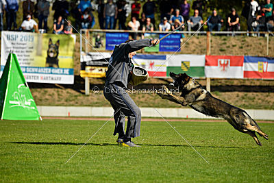 Kody vom Wolfsfriede