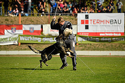 Kody vom Wolfsfriede