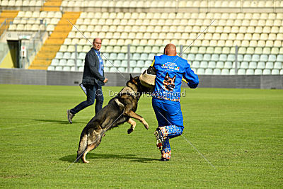 Kody vom Wolfsfriede