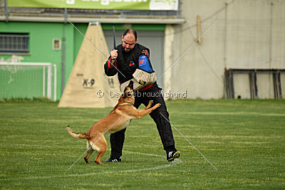 Kondorvölgyi Qamra Anka