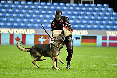 Kongeskoven's Skater