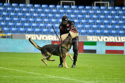 Kongeskoven's Skater