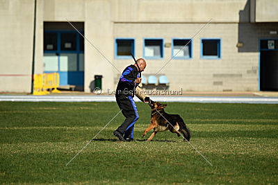 Kratistos Team of Crazy Waters