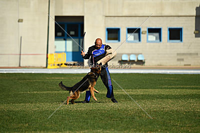 Kratistos Team of Crazy Waters