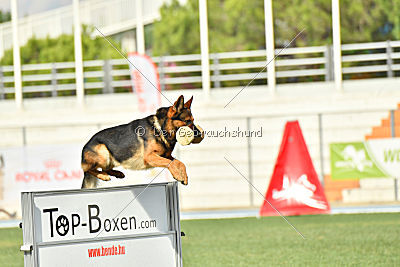 Kratistos Team of Crazy Waters