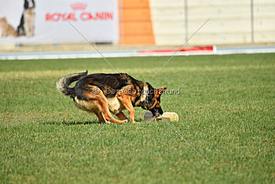 Kratistos Team of Crazy Waters