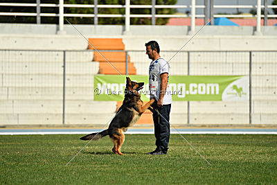 Kratistos Team of Crazy Waters