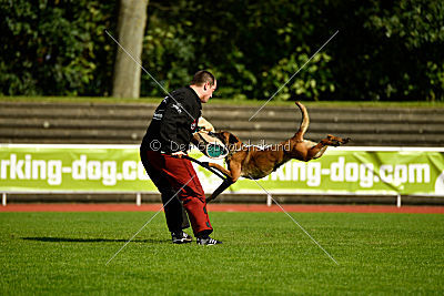 Laika van het Retrohof