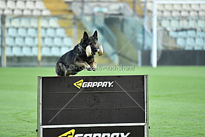 Lana du Triangle Magique