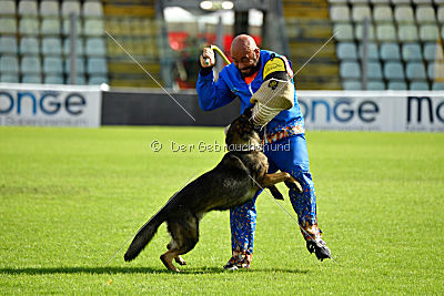 Lana du Triangle Magique