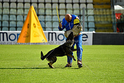 Lana du Triangle Magique