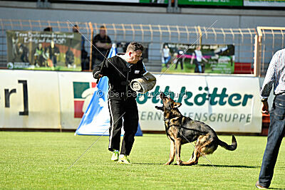 Larcos vom Timmelsjoch