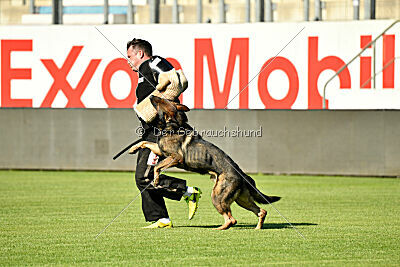 Larcos vom Timmelsjoch