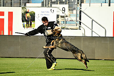 Larcos vom Timmelsjoch