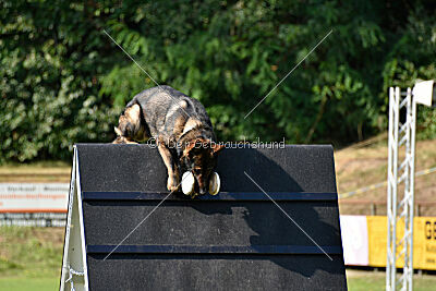 Larcos vom Timmelsjoch