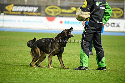 Larcos vom Timmelsjoch