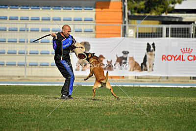 Largo Farsal