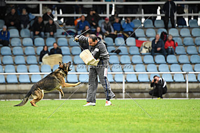 Lasko vom Klüttenplatz