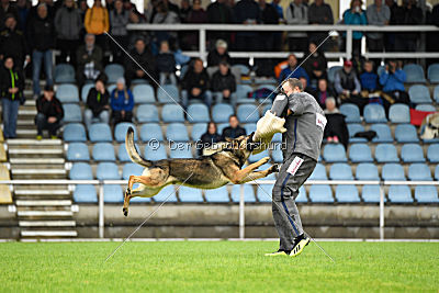Lasko vom Klüttenplatz