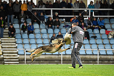 Lasko vom Klüttenplatz
