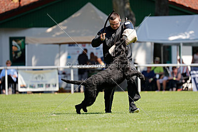 Lasse vom Goldbergsee