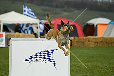 Latissimus vom Causa Nostre Letitia