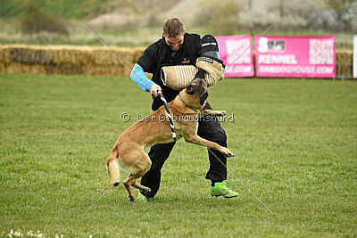 Latissimus vom Causa Nostre Letitia