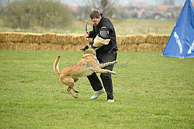 Latissimus vom Causa Nostre Letitia