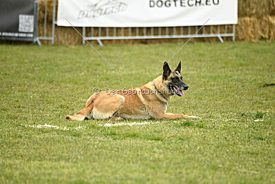 Latissimus vom Causa Nostre Letitia