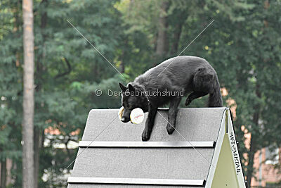 Lauser vom Regnitztal