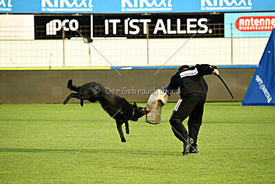 Lauser vom Regnitztal