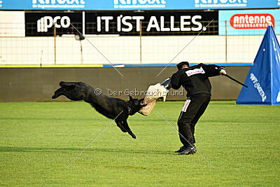 Lauser vom Regnitztal