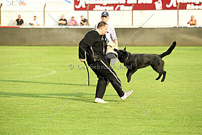 Lauser vom Regnitztal