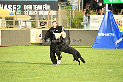 Lauser vom Regnitztal