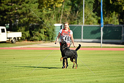 Legende Garde de la Vie