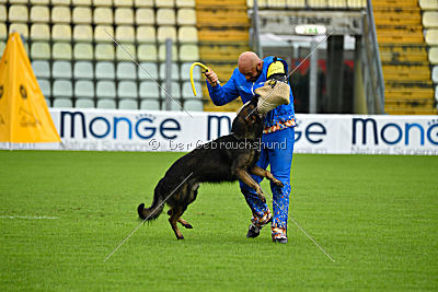 Legolas vom Hermes