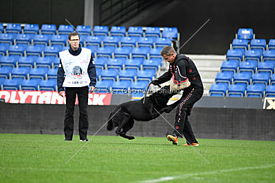 Lelaurier Koh I Noor